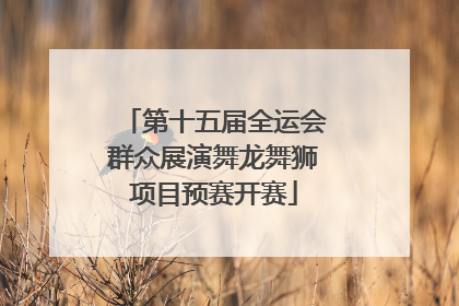 第十五届全运会群众展演舞龙舞狮项目预赛开赛